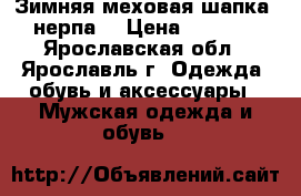 Зимняя меховая шапка (нерпа) › Цена ­ 5 000 - Ярославская обл., Ярославль г. Одежда, обувь и аксессуары » Мужская одежда и обувь   